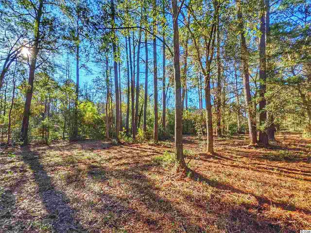 0 Ocean Hwy., Pawleys Island, SC 29585