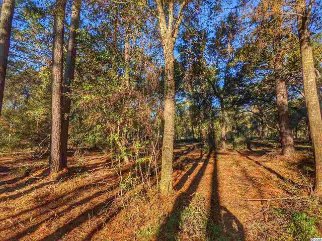 0 Ocean Hwy., Pawleys Island, SC 29585
