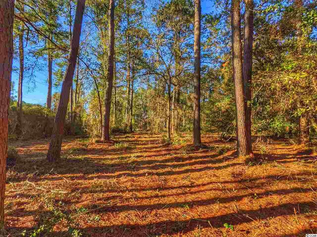 0 Ocean Hwy., Pawleys Island, SC 29585