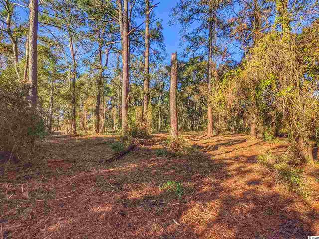 0 Ocean Hwy., Pawleys Island, SC 29585