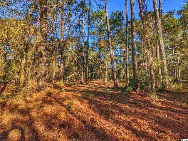 0 Ocean Hwy., Pawleys Island, SC 29585
