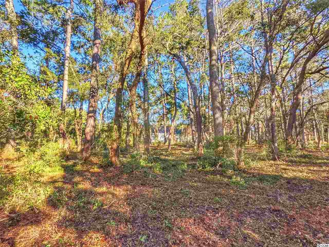 0 Ocean Hwy., Pawleys Island, SC 29585