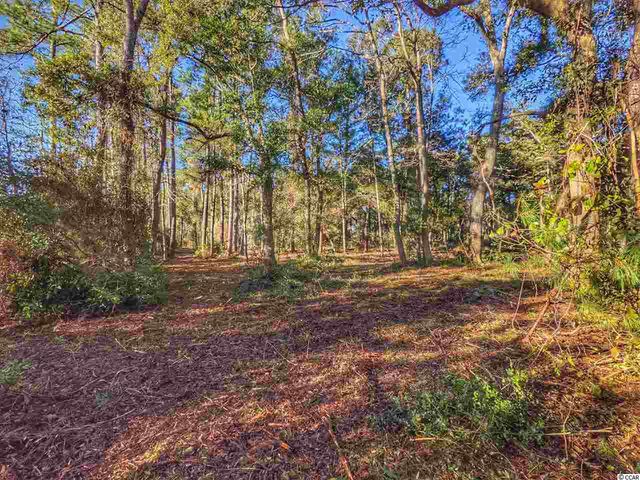 0 Ocean Hwy., Pawleys Island, SC 29585