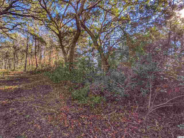 0 Ocean Hwy., Pawleys Island, SC 29585