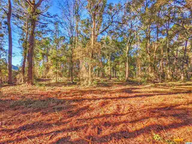 0 Ocean Hwy., Pawleys Island, SC 29585