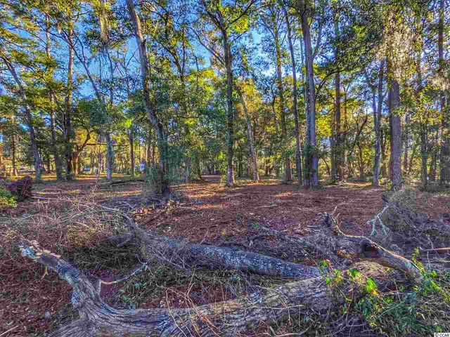 0 Ocean Hwy., Pawleys Island, SC 29585