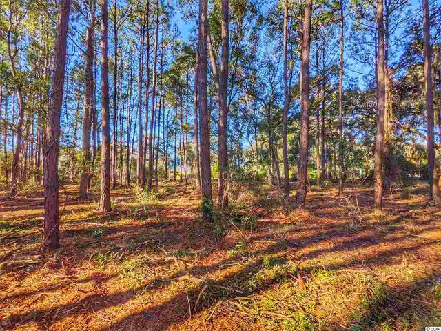 0 Ocean Hwy., Pawleys Island, SC 29585