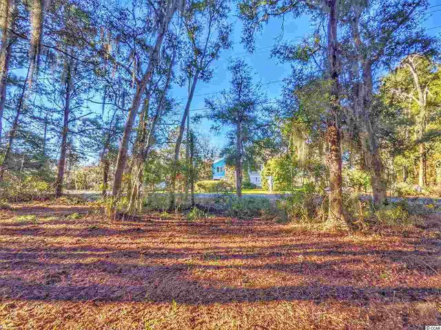 0 Ocean Hwy., Pawleys Island, SC 29585