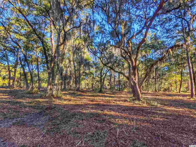 0 Ocean Hwy., Pawleys Island, SC 29585