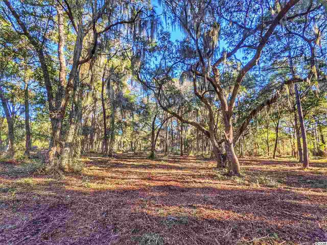0 Ocean Hwy., Pawleys Island, SC 29585