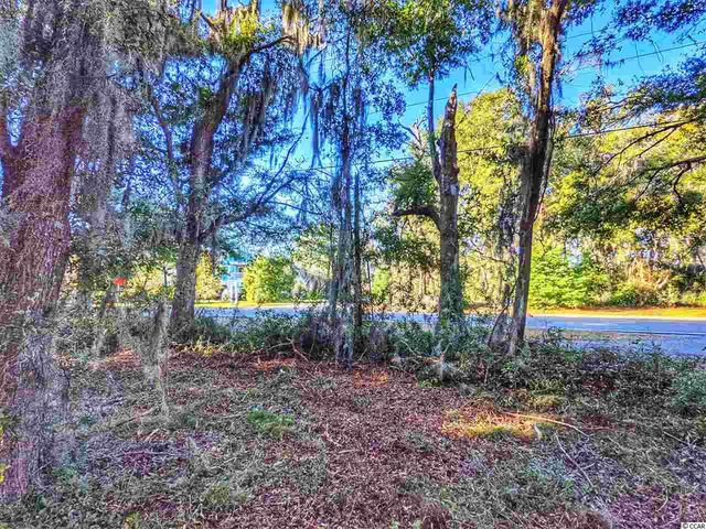 0 Ocean Hwy., Pawleys Island, SC 29585