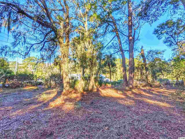 0 Ocean Hwy., Pawleys Island, SC 29585