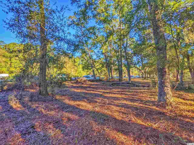 0 Ocean Hwy., Pawleys Island, SC 29585