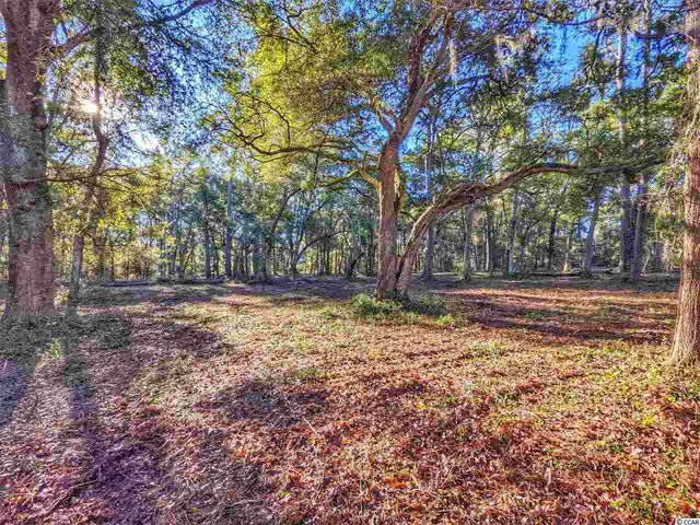 0 Ocean Hwy., Pawleys Island, SC 29585