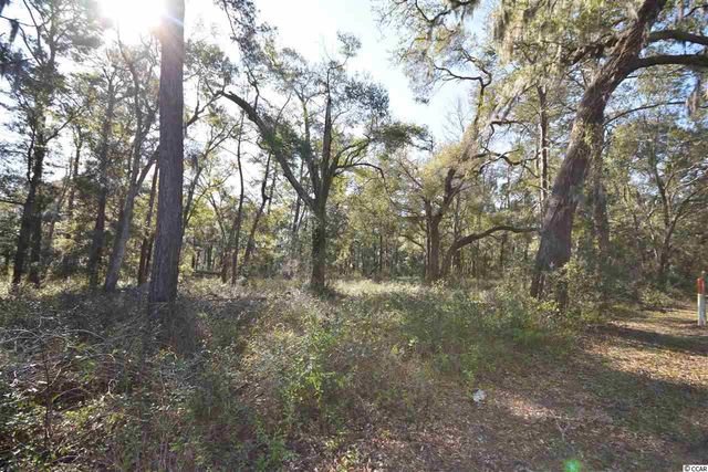 0 Ocean Hwy., Pawleys Island, SC 29585