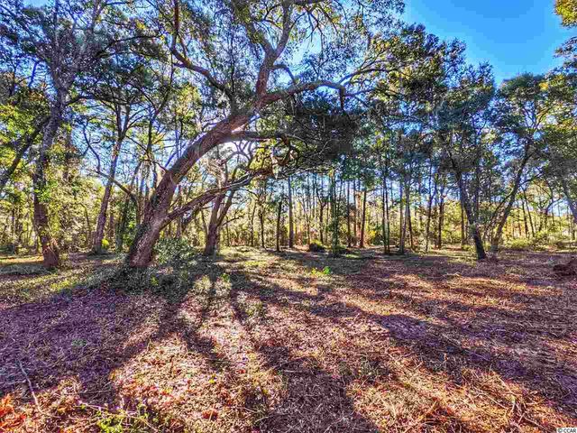 0 Ocean Hwy., Pawleys Island, SC 29585
