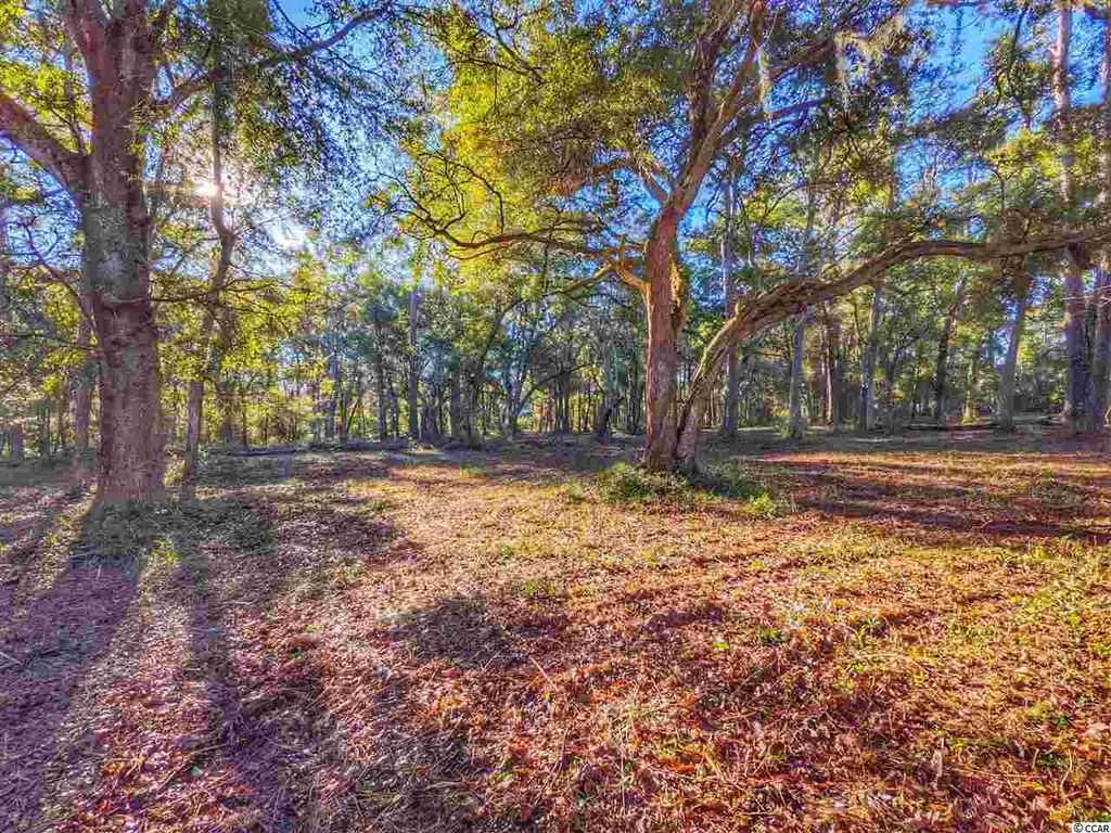 0 Ocean Hwy., Pawleys Island, SC 29585