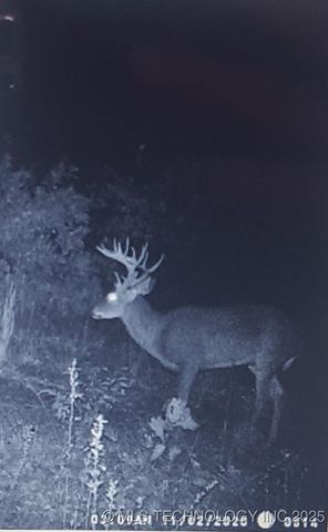 38087 W 28th Place, Mannford, OK 74044