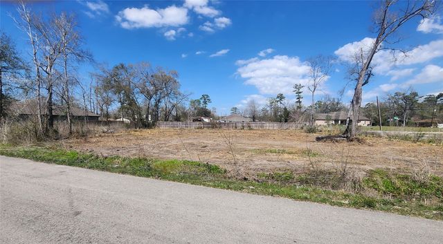 10105 Haddick Street, Houston, TX 77078