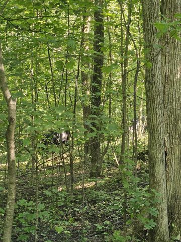 Byers Road, Boscobel, WI 53805