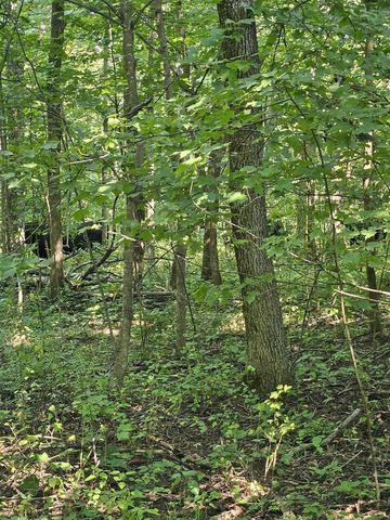 Byers Road, Boscobel, WI 53805