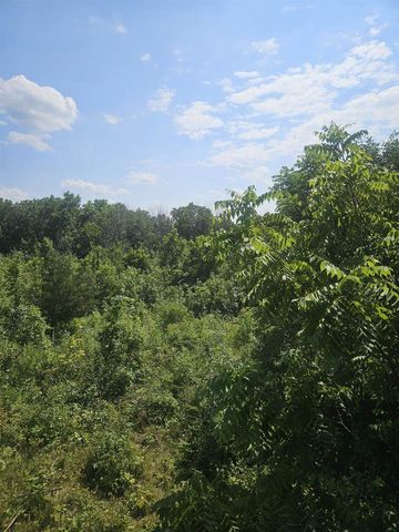 Byers Road, Boscobel, WI 53805