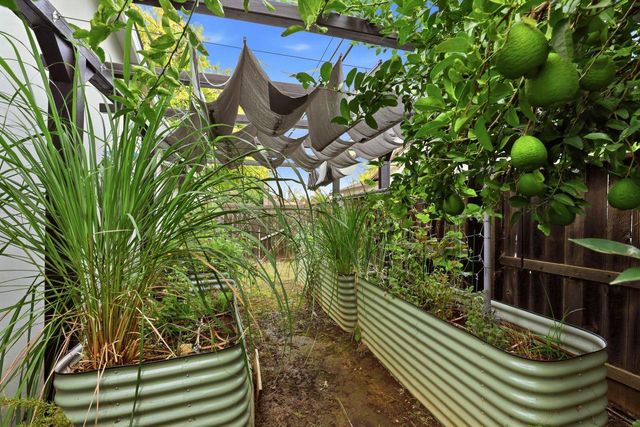 8998 Alderson Ave, Sacramento, CA 95826