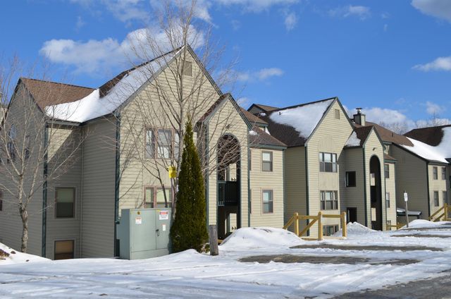 46 Fowler Road O205, Ludlow, VT 05149