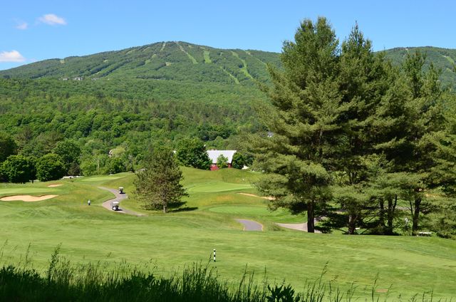 46 Fowler Road O205, Ludlow, VT 05149