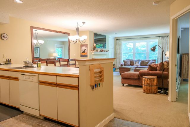 46 Fowler Road O205, Ludlow, VT 05149
