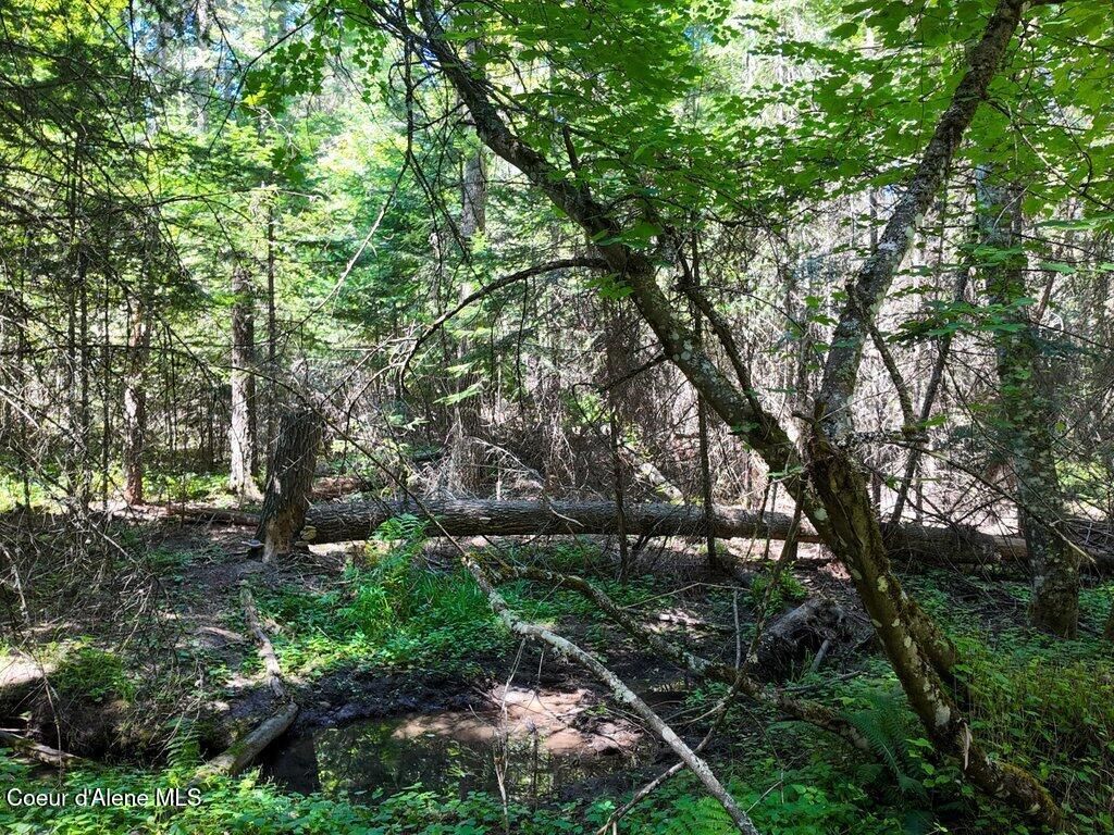 NKA HIGHWAY 97, Harrison, ID 83833 photo 19