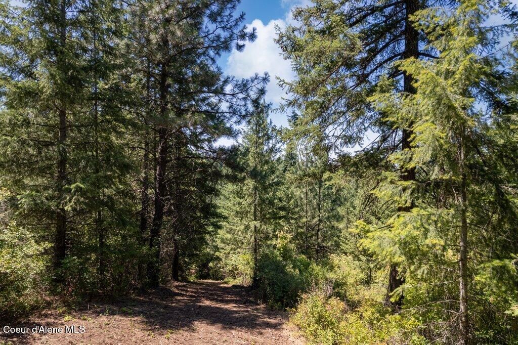 NKA HIGHWAY 97, Harrison, ID 83833 photo 5