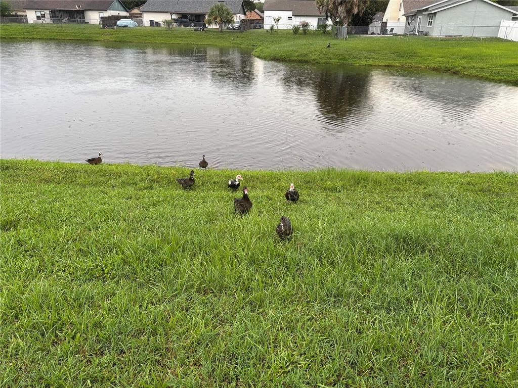 Image 31 of property listing at 9840 BALMORAL CIRCLE, Orlando, FL 32817
