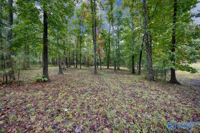 498 Beth Road, New Market, AL 35761