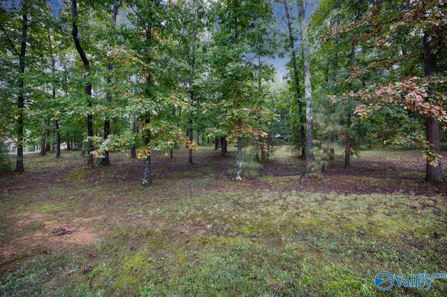 498 Beth Road, New Market, AL 35761