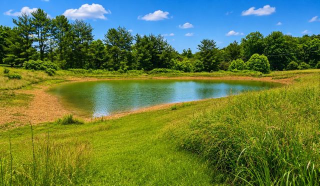 100 N Shady Lane, Eubank, KY 42567
