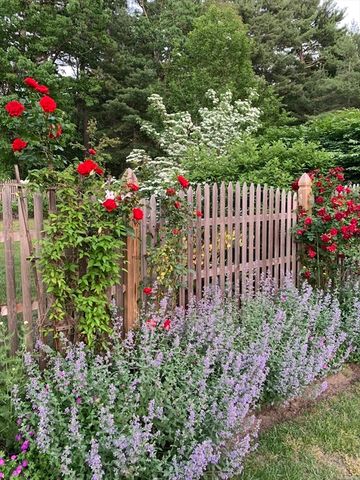 7 Rooks Way, Westford, MA 01886