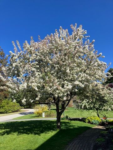 7 Rooks Way, Westford, MA 01886