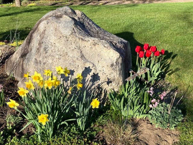 7 Rooks Way, Westford, MA 01886