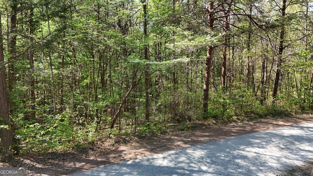 0 Holcomb North Drive, Martin, GA 30557 — exterior