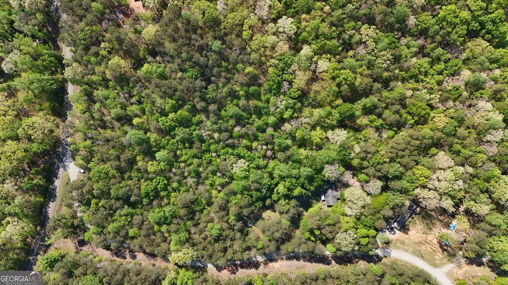 0 Holcomb North Drive, Martin, GA 30557 — photo 2