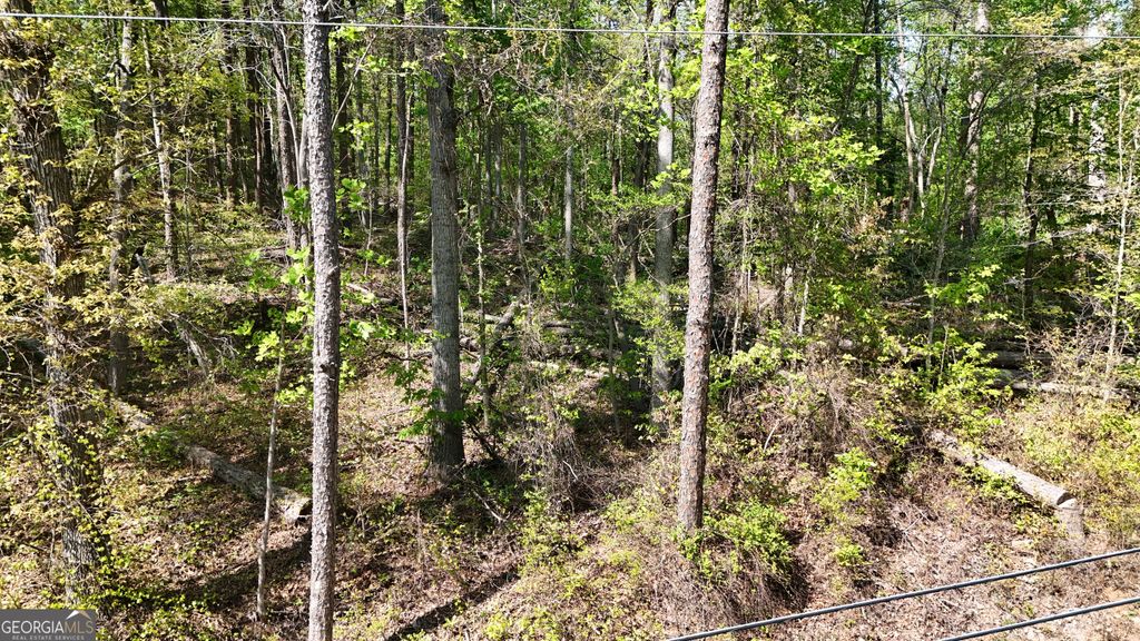 0 Holcomb North Drive, Martin, GA 30557 — photo 3