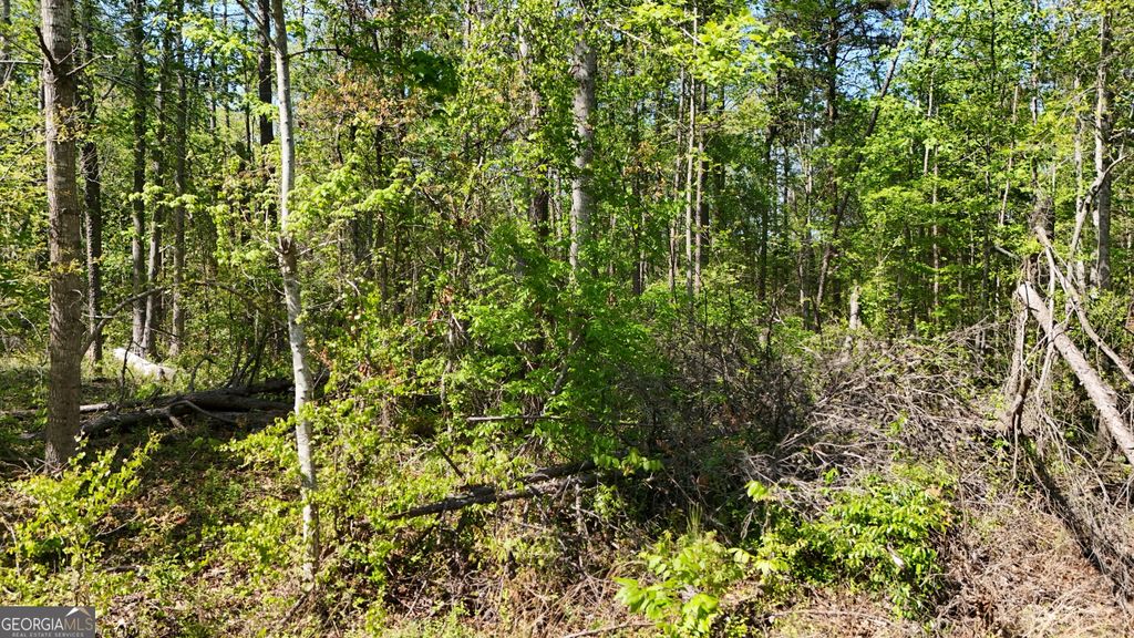 0 Holcomb North Drive, Martin, GA 30557 — photo 4