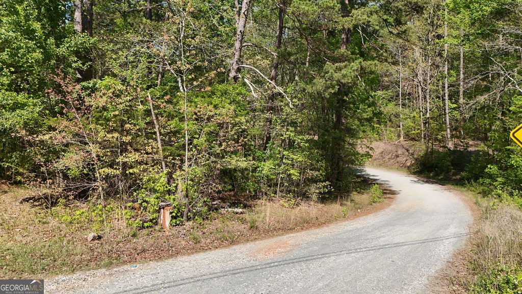 0 Holcomb North Drive, Martin, GA 30557 — photo 5