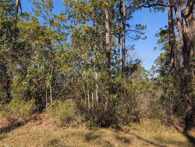 214 & 216 ALLAMANDA DRIVE, Indian Lake Estates, FL 33855