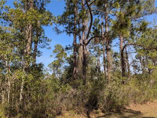 214 & 216 ALLAMANDA DRIVE, Indian Lake Estates, FL 33855