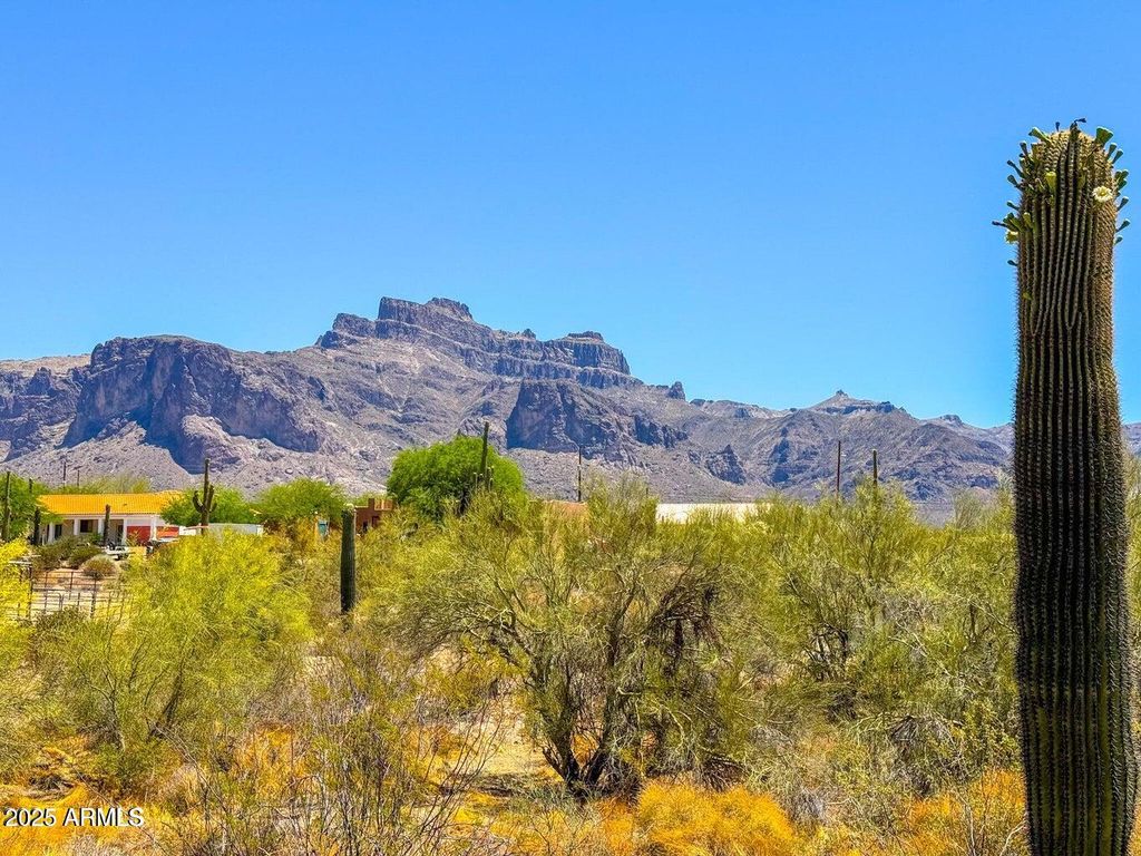 0 N Roadrunner Rd 1 Acre -- -, Apache Junction, AZ 85119 — photo 5