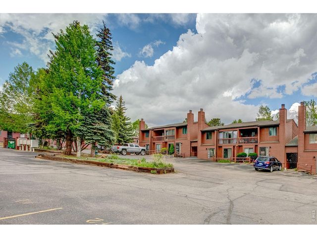 1050 S Saint Vrain Ave B-1, Estes Park, CO 80517