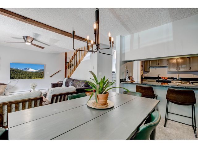 1050 S Saint Vrain Ave B-1, Estes Park, CO 80517