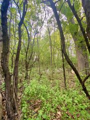 HILLSIDE DRIVE, Weyauwega, WI 54983